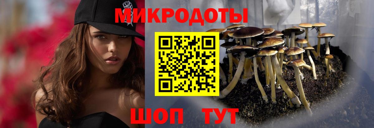 Галлюциногенные грибы прущие грибы  что такое   Светлоград  Галлюциногенные грибы GOLDEN TEACHER  Вход с VPN 